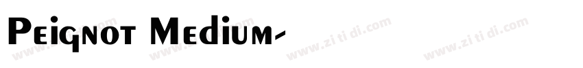 Peignot Medium字体转换